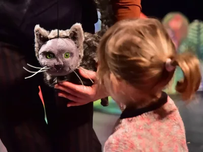 Letincelle 11 Chat Chat 238